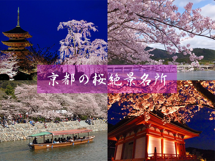 夜桜 京都 【2021】京都の夜桜スポット7選！ライトアップされた桜の下で花見を楽しみたい｜じゃらんニュース