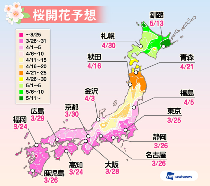 週後半からサクラの季節へ 来週末は東京で満開予想も ウェザーニュース