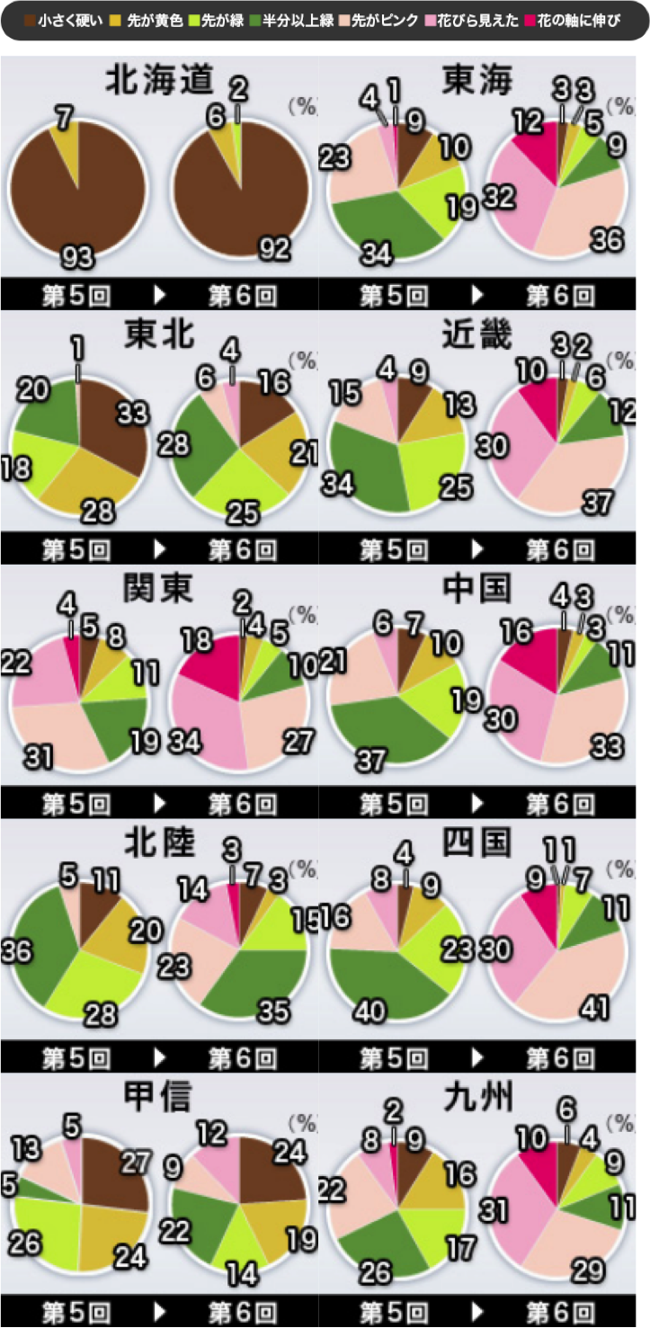 桜のつぼみ調査】ひと時の暖かさで一気に開花 - ウェザーニュース