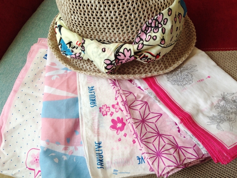 SORASHOP Ch.｜ウェザーニュース