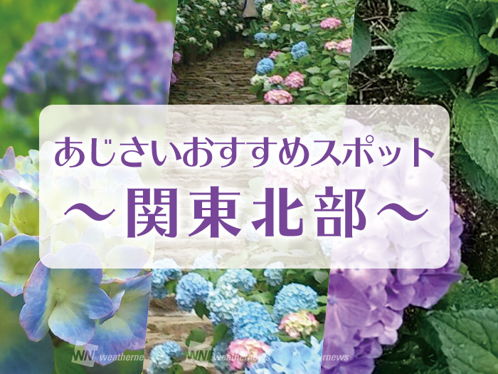 あじさい満載 関東の名所紹介 関東北部編 ウェザーニュース