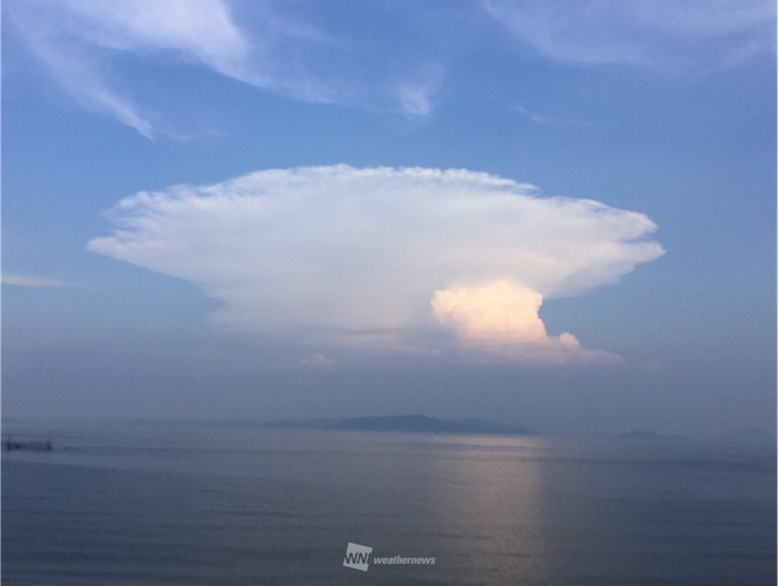 ゲリラ豪雨の夏に見られる様々な空 - ウェザーニュース