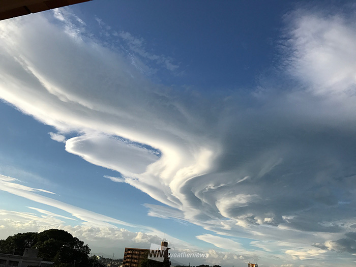 福島 蒸し暑い雨上がりの空に巨大雲 ウェザーニュース