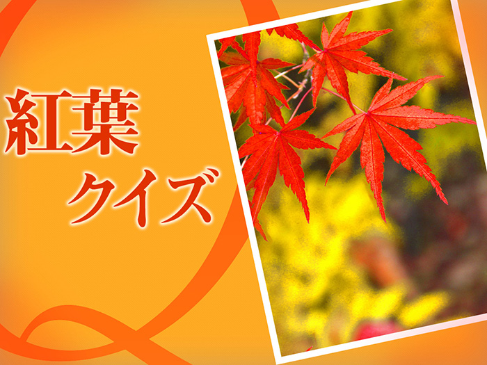 クイズ 日本の秋はやっぱり紅葉 ウェザーニュース