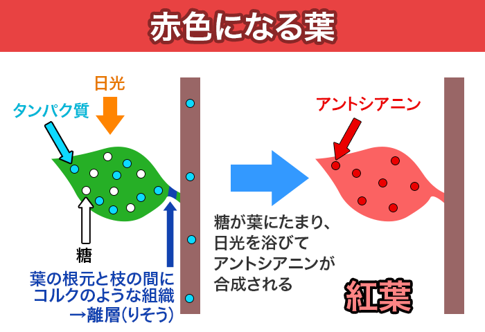 box3