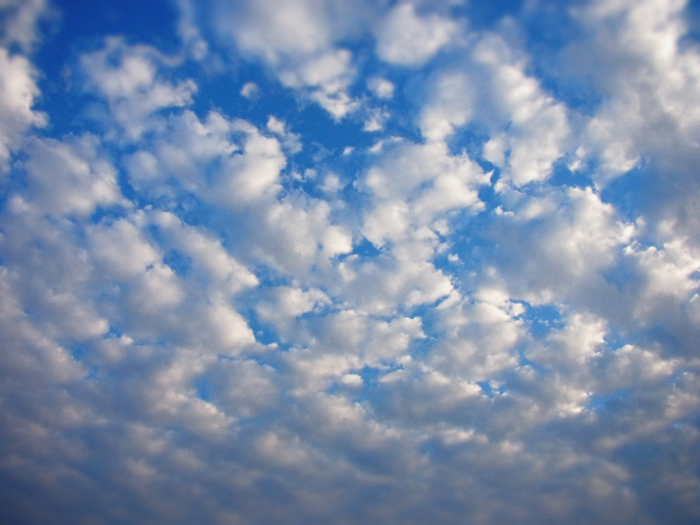 うろこ雲とひつじ雲を一発で見分ける方法とは ウェザーニュース