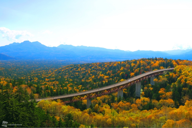 黄色と緑の斑模様 北海道三国峠からの絶景 ウェザーニュース