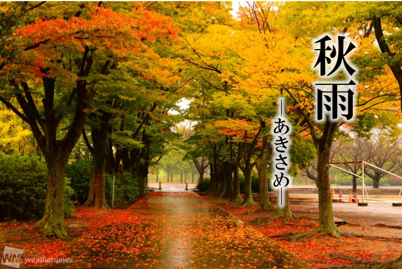 日本って美しい 秋の言葉と秋の空 ウェザーニュース
