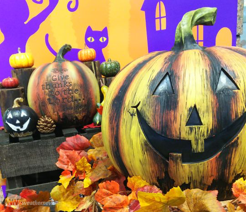 あっちもこっちもハッピーハロウィン ウェザーニュース