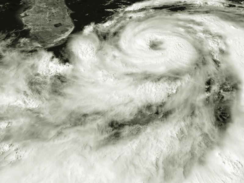 最新の台風news Dメニュー天気