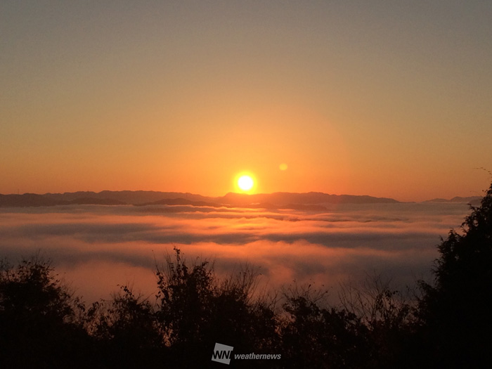 冷え込んだ朝 幻想的な雲海が出現 - ウェザーニュース