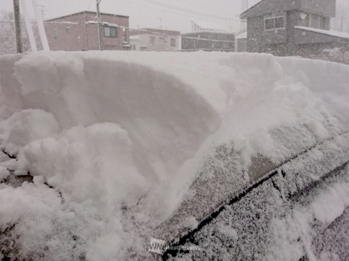 札幌 市 積雪 量