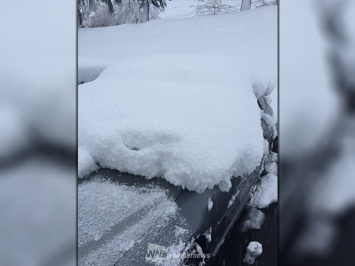 積雪急増中 新潟・十日町では24時間で68㎝増 - ウェザーニュース