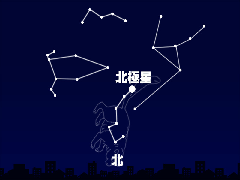 こぐま 座 北極星 110783