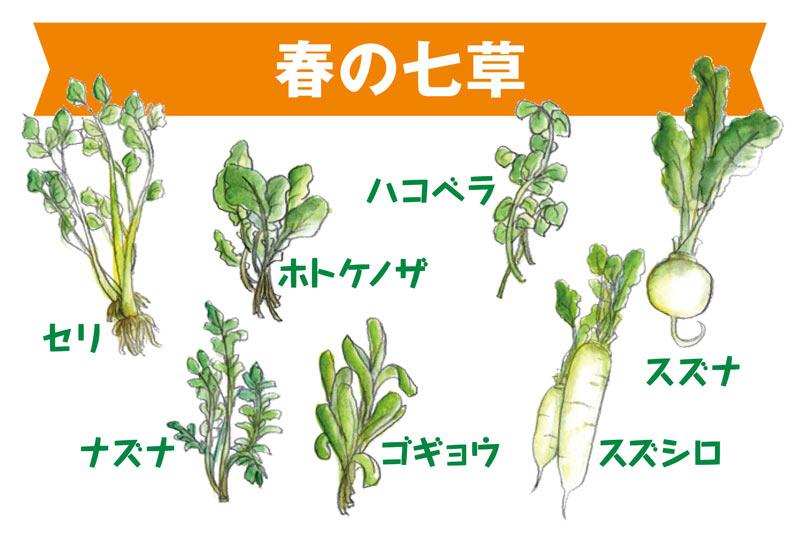 いま一度知っておきたい 七草の深い意味 - ウェザーニュース