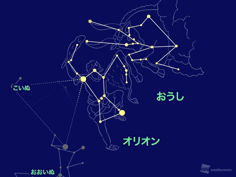 冬こそ楽しもう 子どもと星空観察のすすめ ウェザーニュース 冬こそ楽しもう 子どもと星空観察のすすめ ウェザーニュース