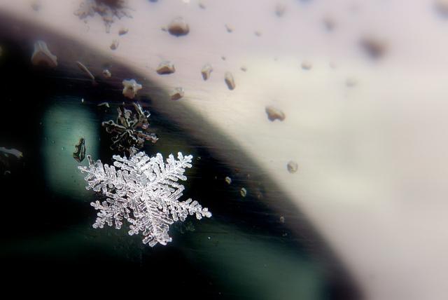 サラサラ ベタベタ 雪質が異なる要因は 水蒸気 と 気温 だった ウェザーニュース