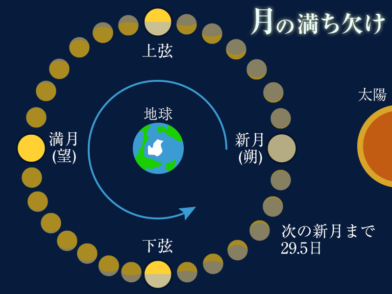 1度も満月がない月は実は珍しかった！？ - ウェザーニュース