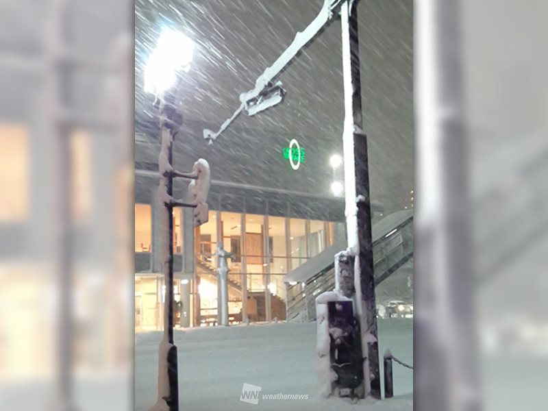 盛岡市で積雪40cm超 低気圧通過で北日本はドカ雪に ウェザーニュース
