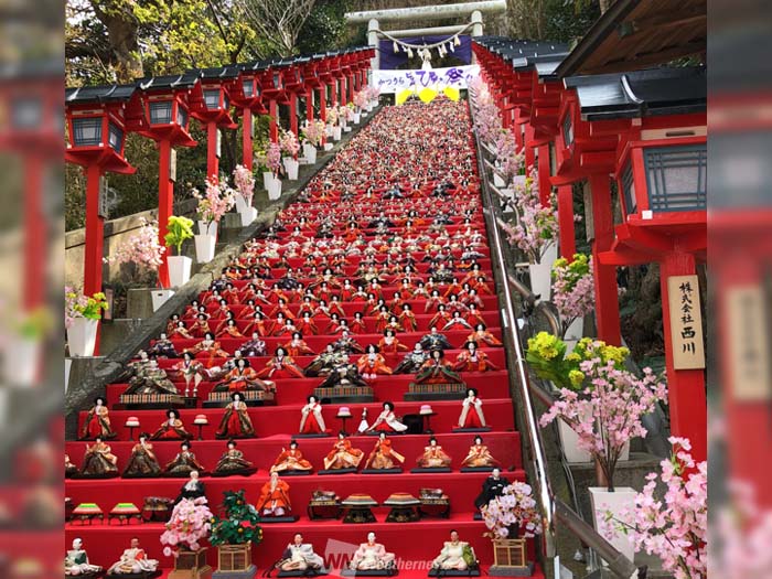 千葉県勝浦市でビッグひな祭り開催 石段には1800体の雛人形 - ウェザー