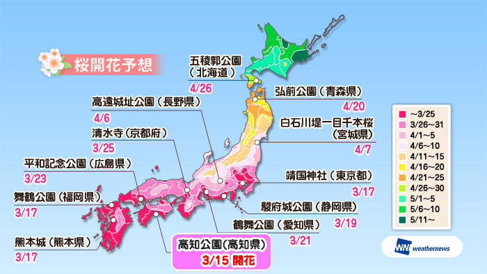 一番乗り 高知の桜が開花 ウェザーニュース