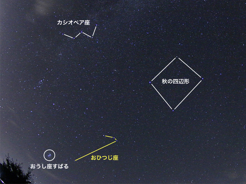 黄道十二星座 誕生星座は3月21日からおひつじ座に - ウェザーニュース