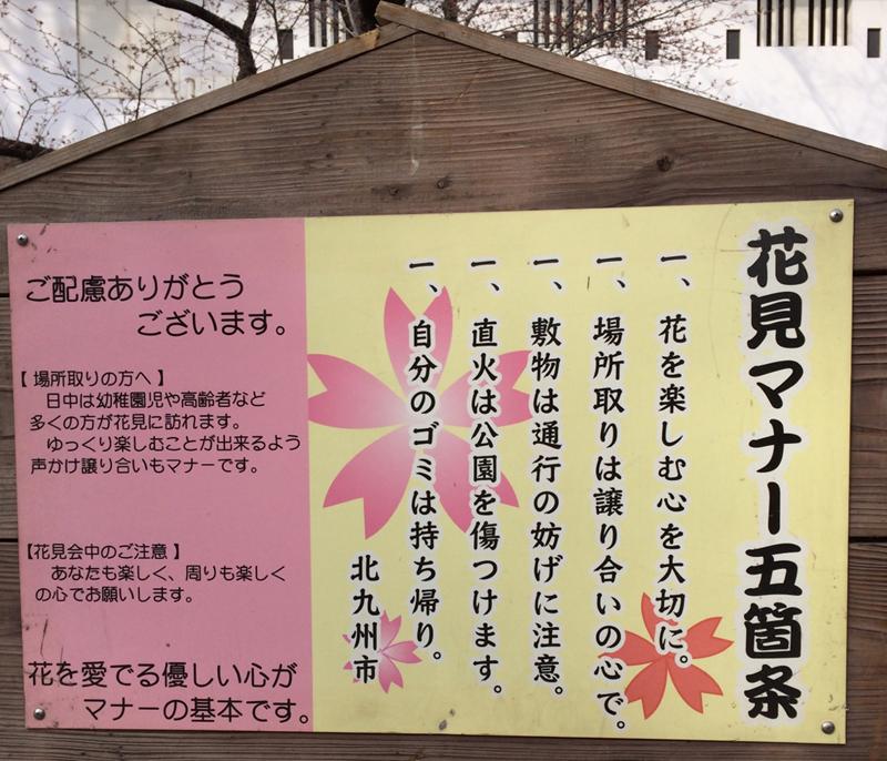 知らないとまずい みんながよく見かけるお花見マナー問題 ウェザーニュース