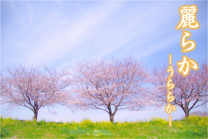 日本って美しい 春の言葉と春の空 ウェザーニュース