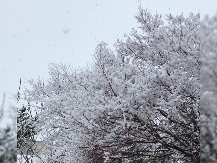 3月 軽井沢 雪 自転車