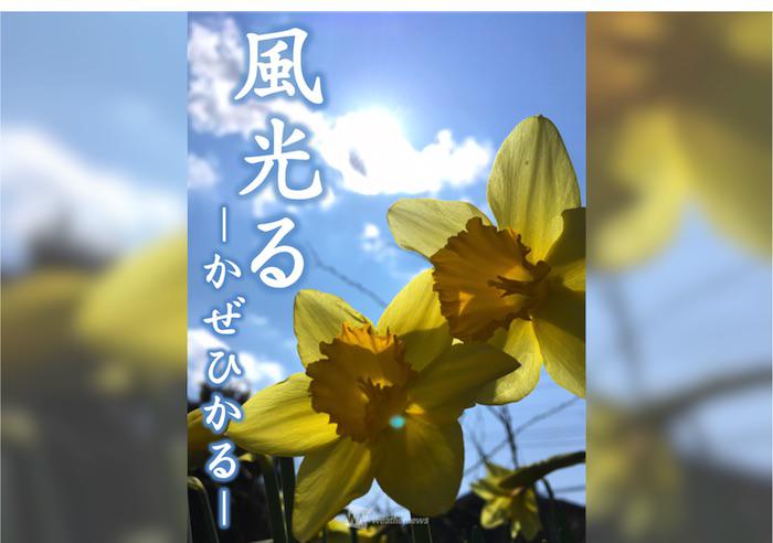 日本って美しい 春の言葉と春の空 ウェザーニュース