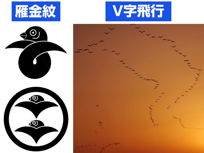 七十二候 知られざる雁の内面 ウェザーニュース