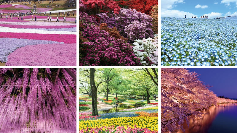 201804260265_sns_img_A.jpg?