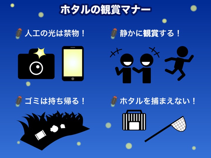 綺麗な水だけじゃない 蛍が生息できる条件とは ウェザーニュース