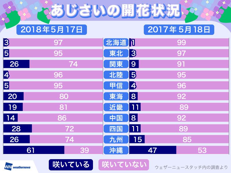 あじさいの開花が昨年より早まる その原因とは ウェザーニュース