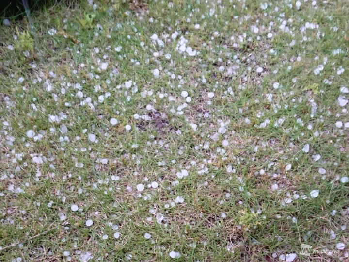 東京で大粒の雹を観測 今後は横浜も強雨や雷に警戒 ウェザーニュース