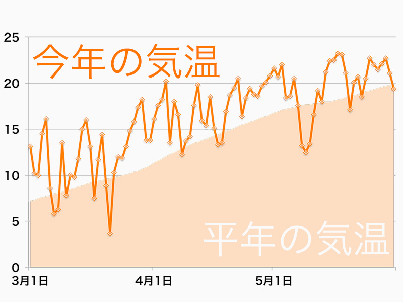 横浜で過去最早となるアジサイ開花 ウェザーニュース