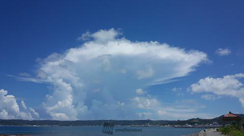 ゲリラ豪雨 雷雨が怖い季節 ウェザーニュース