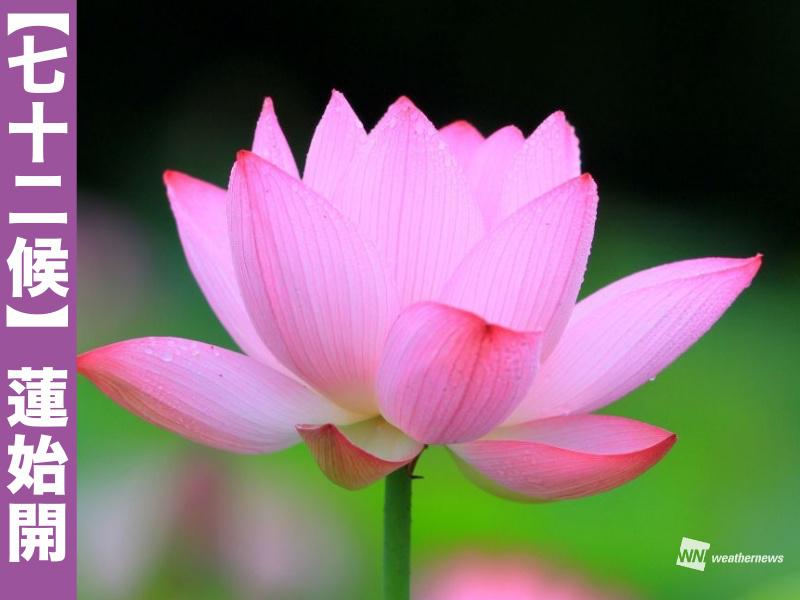 201807110095_sns_img_A.jpg?