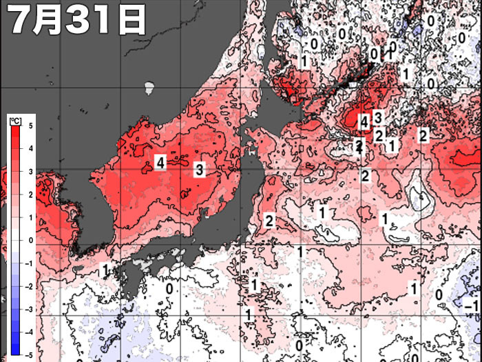 鳥取県沖にサメ出現 猛暑による海面水温の上昇が原因か ウェザーニュース