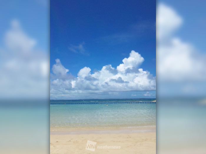 気象予報士が厳選 8月の空 ウェザーニュース