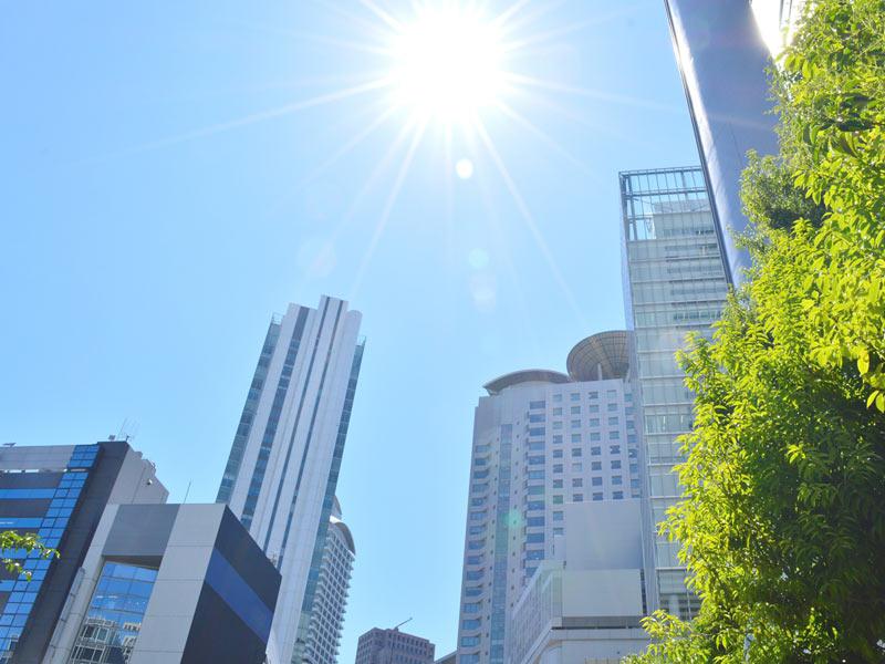 日光に当たると皮膚が荒れる 光線過敏症 ウェザーニュース