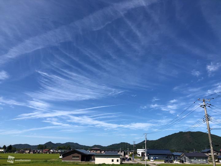 秋に刷毛で描いたような雲が出やすい理由とは - ウェザーニュース