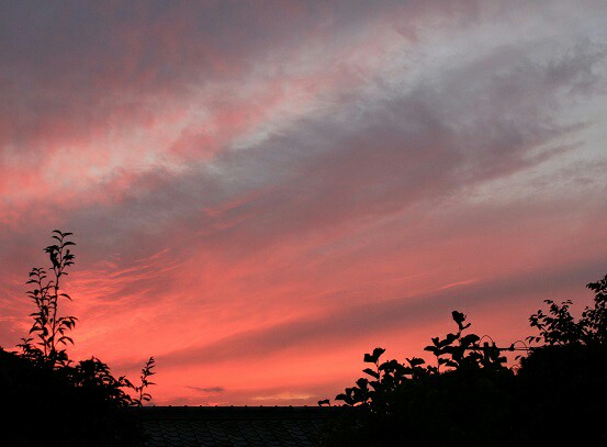 赤い空は雨の前触れ 北陸 東北で綺麗な夕焼けが出現 ウェザーニュース