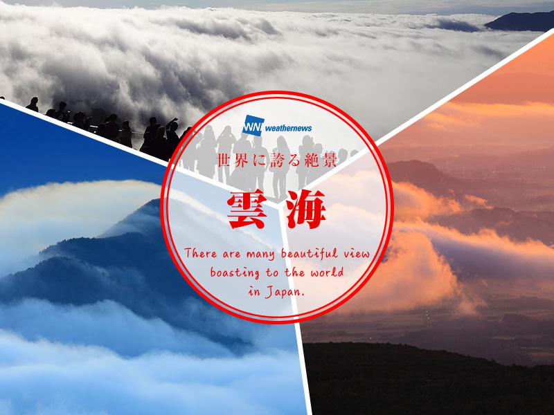世界に誇る絶景】雲海 - ウェザーニュース