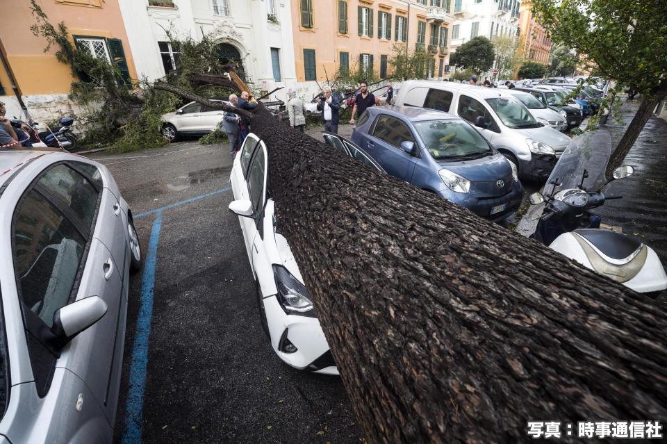 イタリアで暴風雨 各地で浸水 倒木被害 ウェザーニュース
