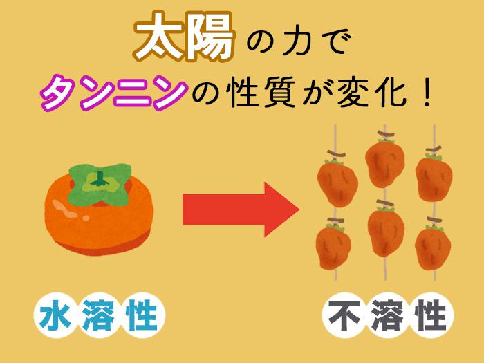 太陽がアレを変身させる 渋柿を干すと甘くなる秘密とは ウェザーニュース