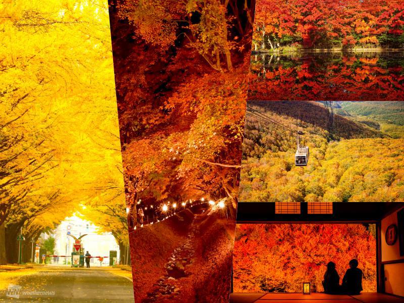 目前が一色に！この秋見られた一面の紅葉絶景 - ウェザーニュース