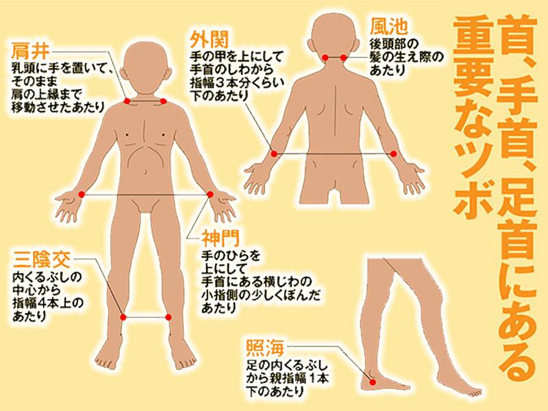 首 のつく部位を暖かく 寒さを乗り切る保温術 ウェザーニュース