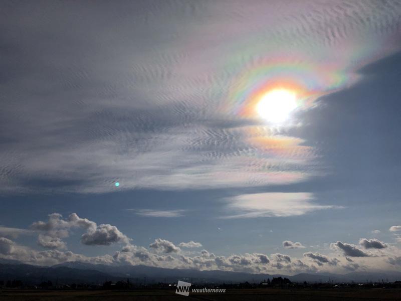 太陽の周りを縁取る虹色の雲 ウェザーニュース