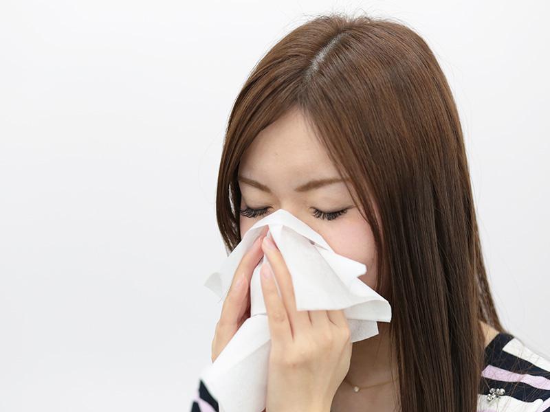 カノックスターが鼻かむ用ティッシュ カノックスターが鼻かむ用ティッシュ